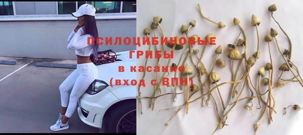 дурь Богородск