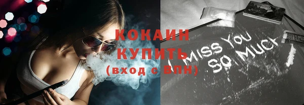 mix Богородицк