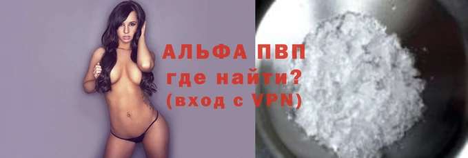 спиды Богданович