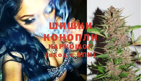 mix Богородицк