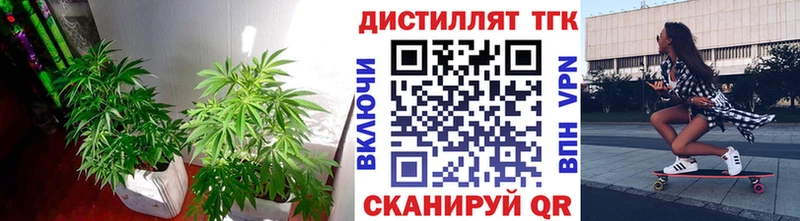 ТГК концентрат  Мосальск 